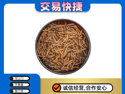 阜南县高价回收散虫草