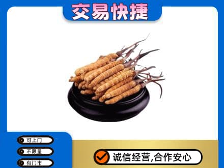 阜南县礼品回收散虫草.jpg